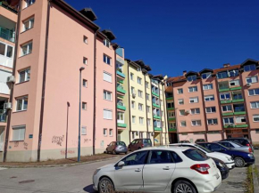 Family Apartment Ilidža